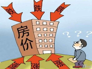 房产不能调控怎么办