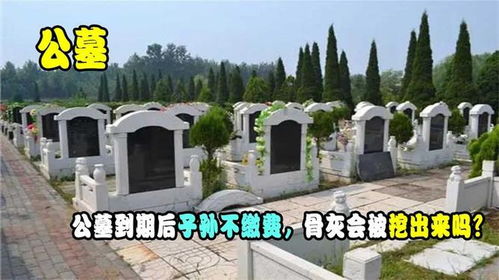 墓地房产怎么卖掉划算