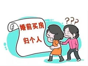 再婚夫妻有房产怎么分