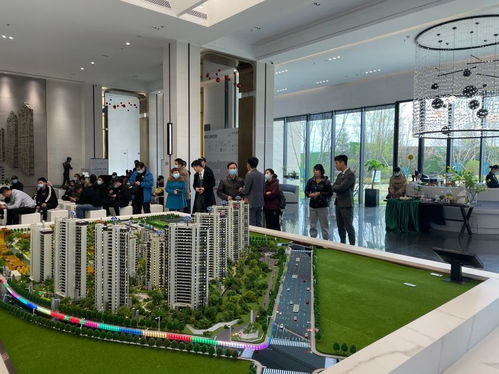房产直播怎么定位本地
