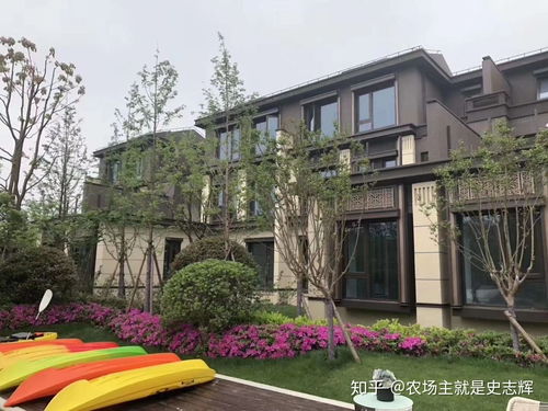 怎么查房产是否婚内