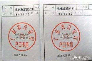房产的户口怎么查询