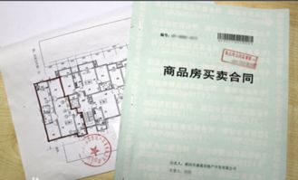 房产合同编号怎么查找