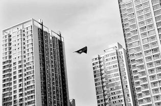 房产登记怎么写楼盘信息