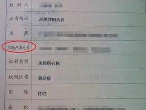 朋友之间怎么房产公证