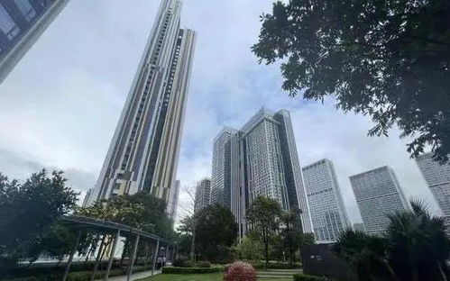 拍房产怎么拍人
