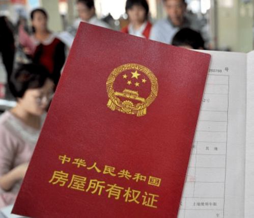房产证应该怎么挂失