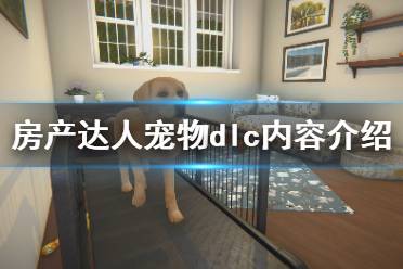 房产达人怎么得宠物