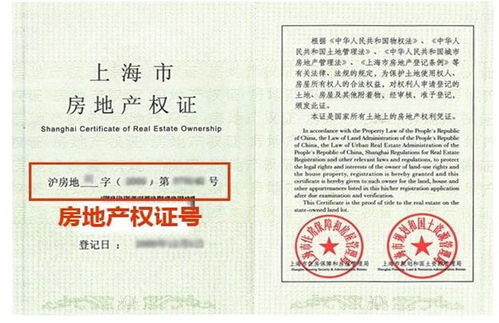 费县房产契税怎么交