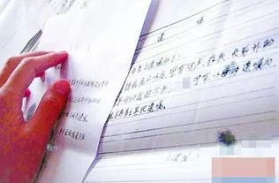 房产立遗嘱怎么继承
