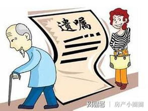 妈死了儿子怎么过户房产