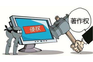 举报房产侵权怎么处理