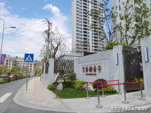 房产达人怎么蔓延草