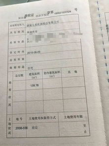 房产过户税怎么缴