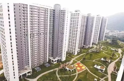 深圳房产怎么挂牌卖
