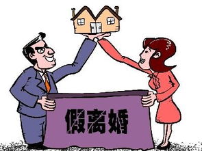 假离婚怎么写房产