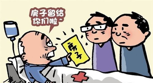 房产过户子女怎么继承