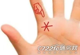 掌纹怎么看房产