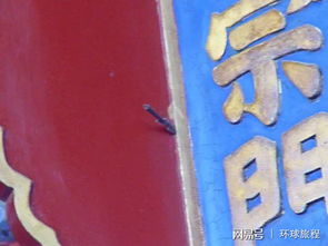房产门牌怎么取
