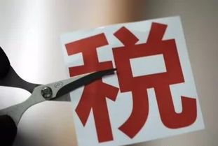 房产共有权怎么设立