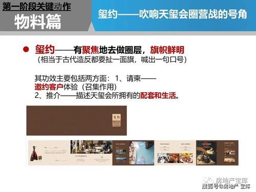 房产运营经历怎么写