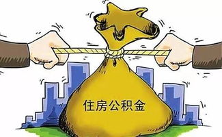 房产开盘被查怎么处理