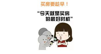海南没房产怎么落户