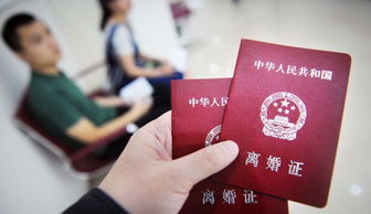 假离婚房产怎么分辨的