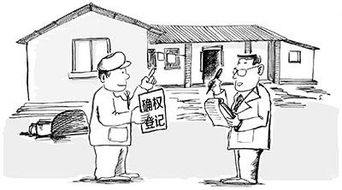 确权以后怎么转移房产