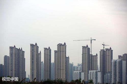 县城房产怎么这么火爆