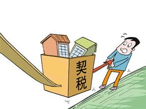 房产契税怎么去黑头