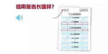 房产征信怎么查
