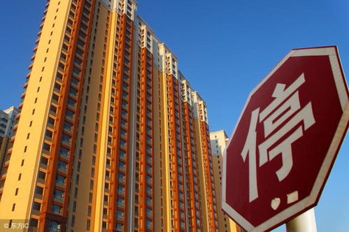房产执照名字怎么取