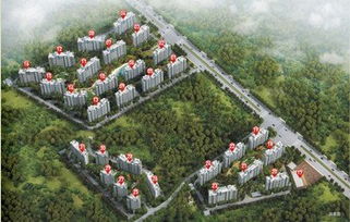鲁能房产怎么收费了