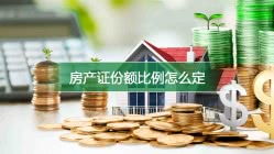房产份额具体怎么认定