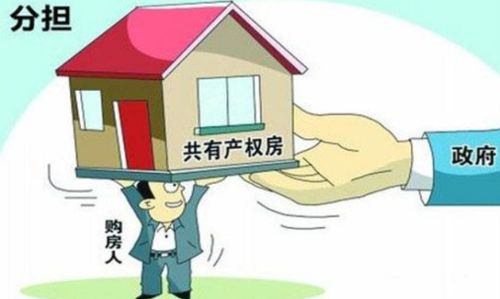 共有房产怎么买