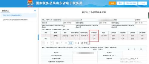 房产计税依据怎么查