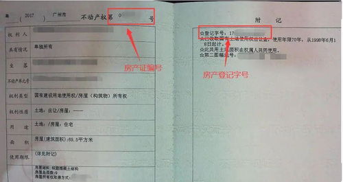 房产证编号怎么查看