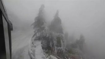 下雪房产人怎么拍