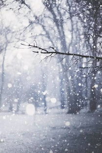 下雪房产人怎么拍