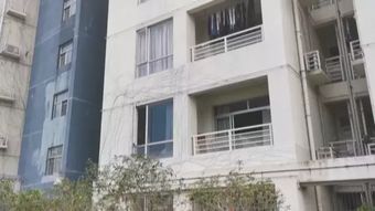 做房产怎么介绍房子