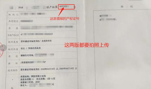 房产查档用途怎么填