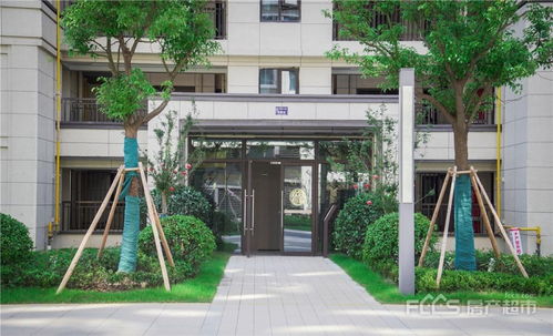 绿地房产进度怎么查