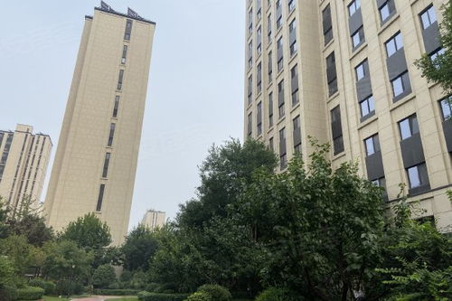 金茂房产定位怎么样
