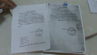 洋县房产证怎么查询