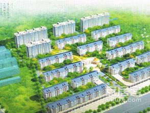 莘县安家房产怎么样