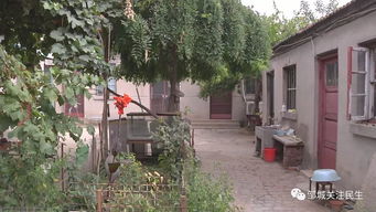 农村房产户主怎么继承