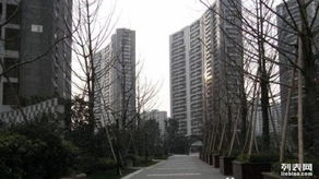 久筑房产怎么样