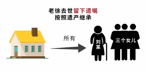 分我爸的房产怎么分