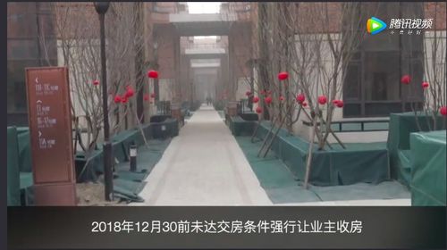 房产交房视频怎么拍摄